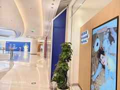 -天真蓝照相馆(莘庄天荟广场店)