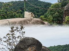 -南山植物园