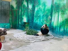 -杭州野生动物世界