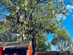 -承恩寺