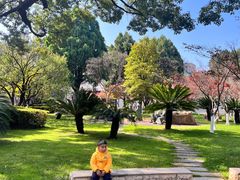 -云南师范大学(一二一西南联大校区)