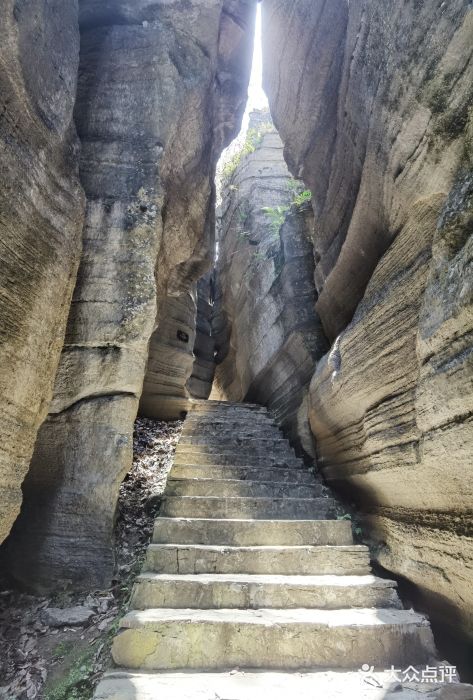 梭布垭石林景区图片