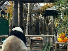 -大连森林动物园