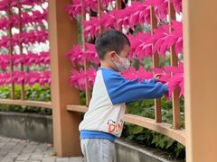 -广州神农草堂中医药博物馆