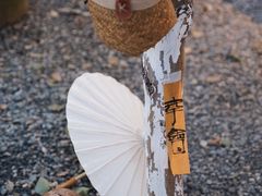 -苏州本色美术馆