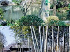-永泉忆江南12景区