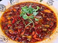 精品毛血旺-陈麻婆豆腐(旗舰店)