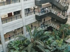 -黑龙江中医药大学附属第一医院