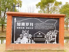 -上海长兴岛郊野公园