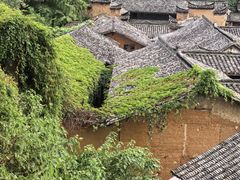 -杨家堂村