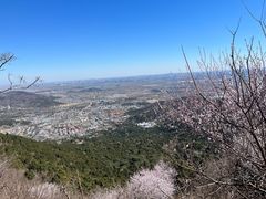 -香山公园