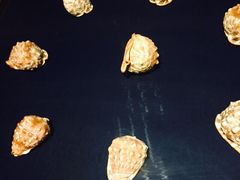 -青岛贝壳博物馆