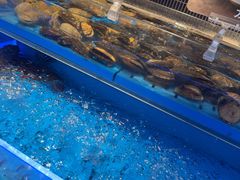 -海底捞火锅(长宁路龙之梦店)