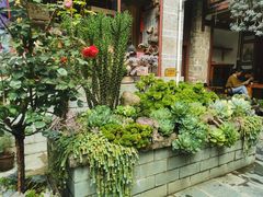 -寂照庵