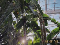 -国家植物园南园