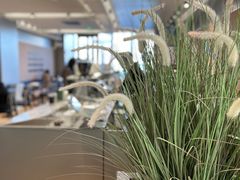 -M Stand(北京平安幸福中心店)