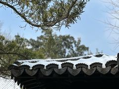 -莫愁湖公园
