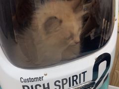 -四月宠物医院·猫专科·心脏专科·内科(转塘店)