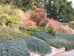 -维乐口腔医院(福清院)