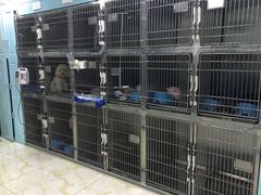 -莘程宠物医院(金山店)
