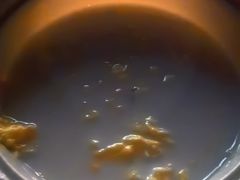 风味甜胚子-飞天大厦清真餐厅