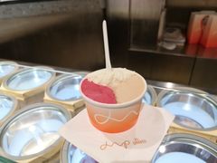 荔枝树莓洛神花-Dip in Gelato(富民路店)