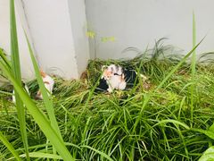 -东南大学(九龙湖校区)