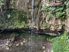 -鹿院坪生态旅游景区