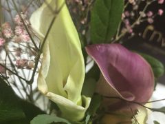 -植物学家的女儿(北马道巷店)