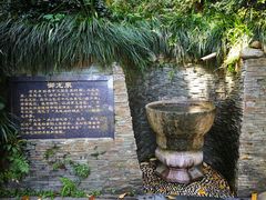 -十八棵（老龙井）御茶园(老龙井店)