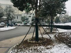 -南阳建业森林半岛假日酒店