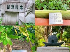 -广州神农草堂中医药博物馆