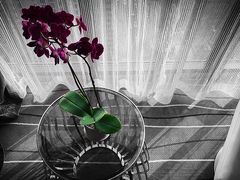 -青岛富力艾美酒店