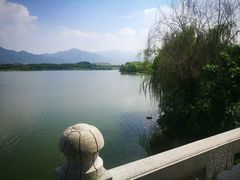 -飞来湖湿地公园