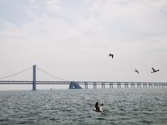 -星海广场