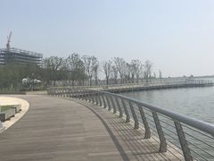 -南汇嘴观海公园