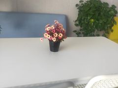-椰本·海南正宗椰奶清补凉(佳园里店)