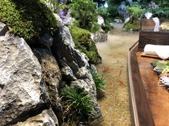 -森味薪火烧•烧鸟居酒屋•日本料理(望京店)