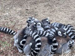 -杭州野生动物世界