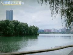 -天鹅湖体育公园