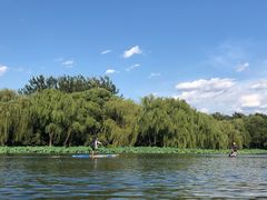 -WhaleSports户外水上运动俱乐部(朝阳公园店)