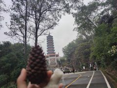 -大雁山风景区