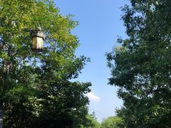 -敬亭山风景名胜区