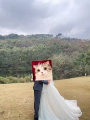 -黑马婚纱摄影