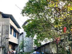 -盘龙黄鳝(盘龙居店)