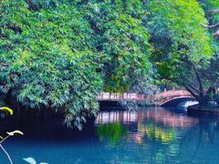 -棠湖公园