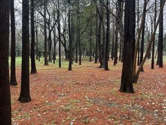 -蜀冈西峰生态公园