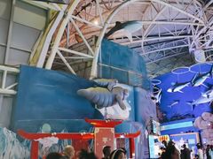 -烟台海昌鲸鲨海洋公园