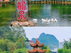 -靖西鹅泉风景区