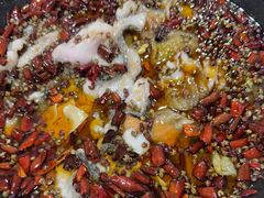 -金三可市井水煮鱼(金碧园店)